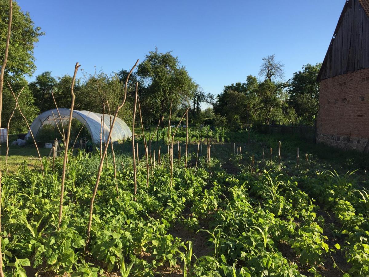Pensiune Agroturistica Hanna Ocland Exterior photo